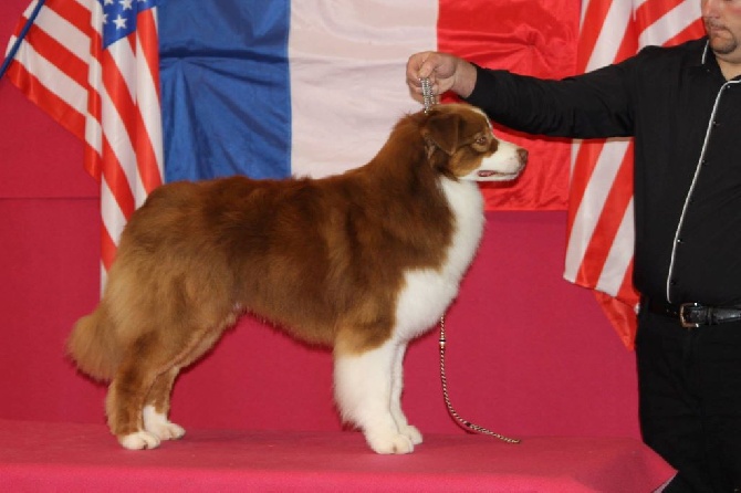 du rocher florin - Nationale d'élevage Cerilly