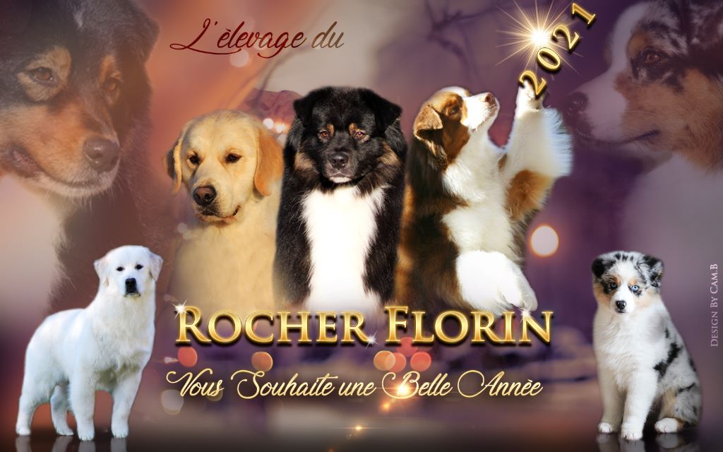 du rocher florin - Meilleurs voeux 2021 !!