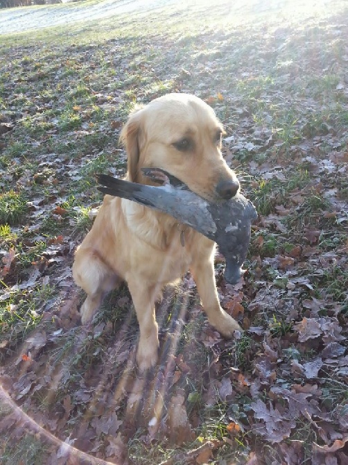 du rocher florin - Une chasseresse Suisse !!!
