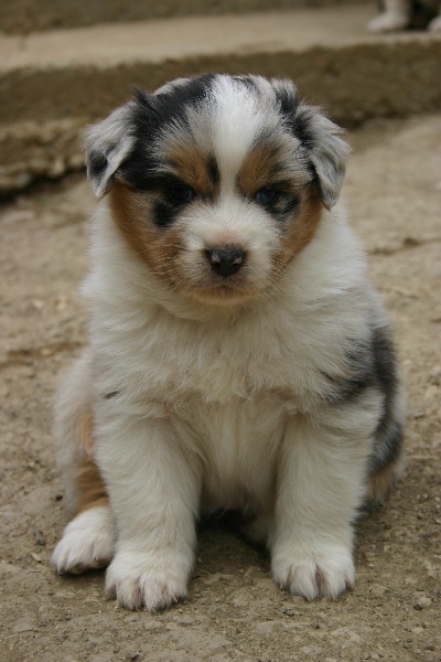 bébés 2010